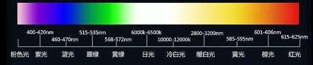 《科学》：爆炸式黑科技……科学家用光遗传学实现大脑无创操控，用光照治疗脑病不再是科幻｜奇点猛科技