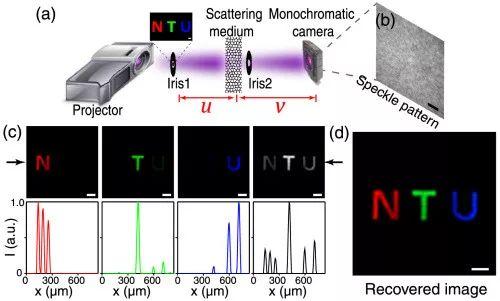 新加坡南洋理工大学开发出“无镜头”的彩色成像技术！
