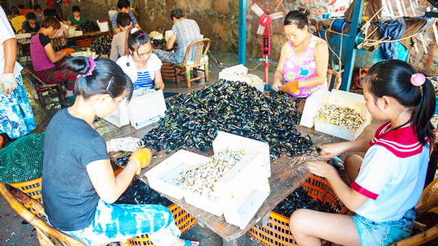 新加坡竟然也动物泛滥了，新加坡吃货：老子自己来，不用中国帮忙