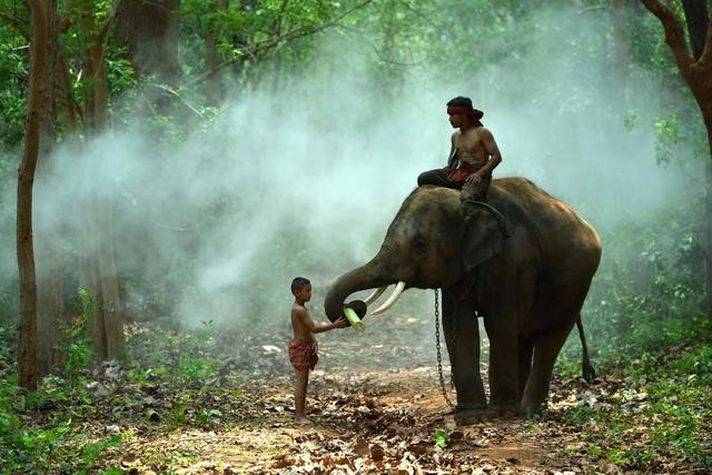 东南亚各国的旅游感受，泰国体验最好，马来不受待见