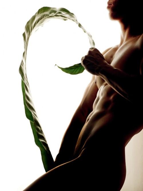 Marcus Mok-东方男色