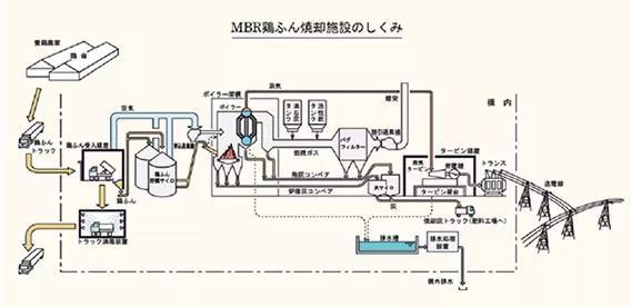 整个日本都震惊了，鸡粪还能用来发电