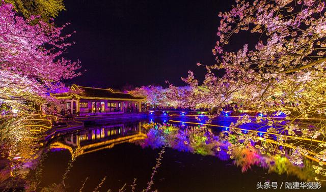 太湖鼋头渚，跟浪漫樱花来一场春天的约会