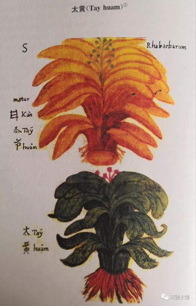 2018年4月11-12日｜“近现代以来的世界贸易与医药产品”会议议程