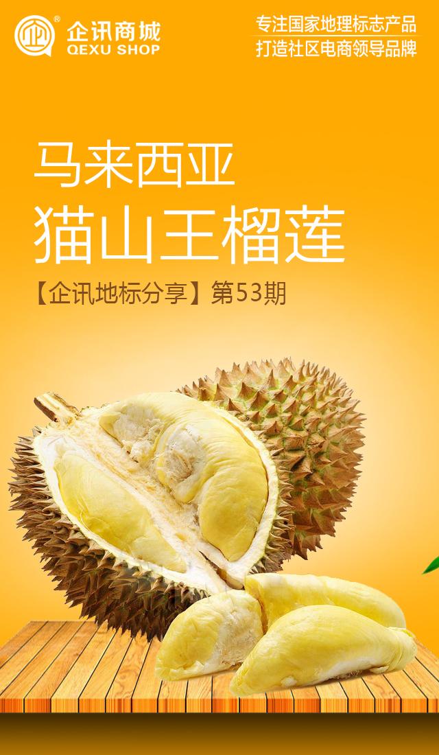 「企讯地标分享」第53期 国家地理标志产品-马来西亚·猫山王榴莲