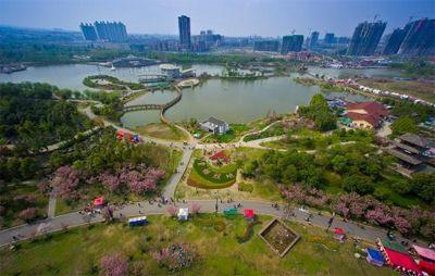 植树节丨规划建全球最大公园城市，成都想把大家的梦想都栽在这里