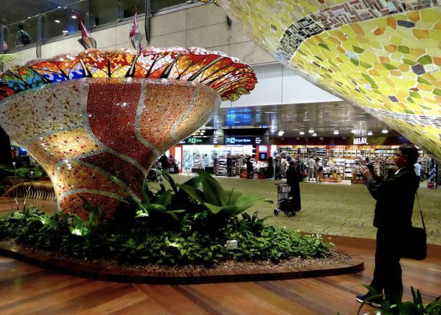 一国家在机场建起植物园，成全球最美机场，连续4年获航空奥斯卡