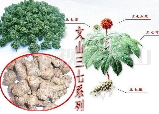 舌尖上的文山！各县市的这些地域名片你知道吗？