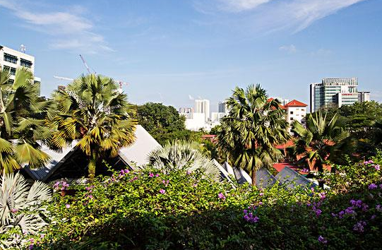 “五考定高下”，新加坡全学段五大分流考试，精英诞生的地方