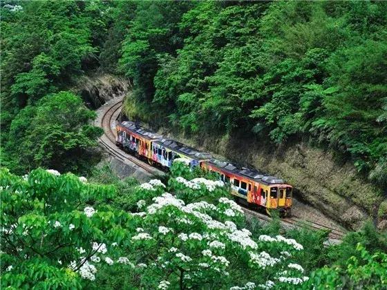 清明、五一、端午、暑期，最值得去的12个旅行地