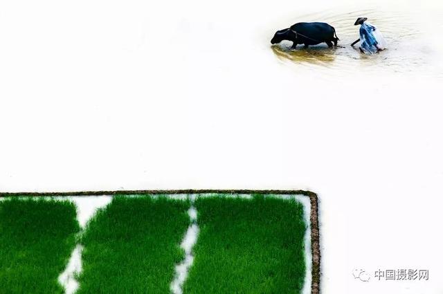 中国摄影网签约摄影师杨胜华获奖作品赏析——《我的2017》