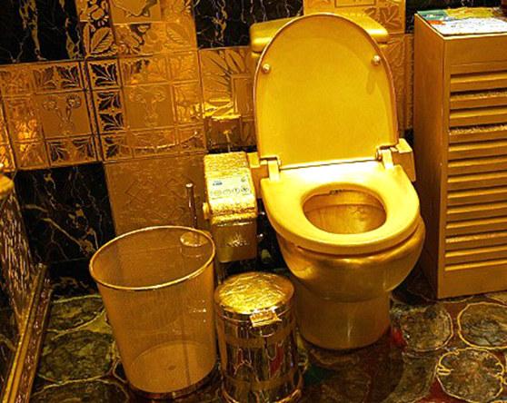 新加坡法规很奇葩，喂喂鸽子搞搞基不冲厕所都是违法的啊！