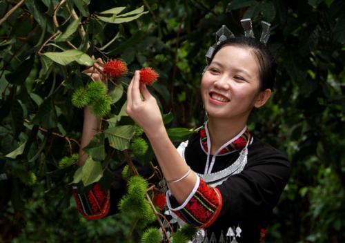 南方有种水果，全国不超过5个省份有种植，温度低于17度都不行！