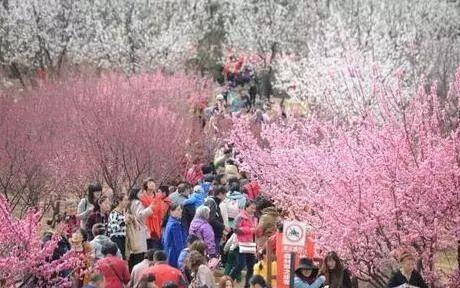 早fun｜二线城市客源猛涨 错峰拼假清明也能远行