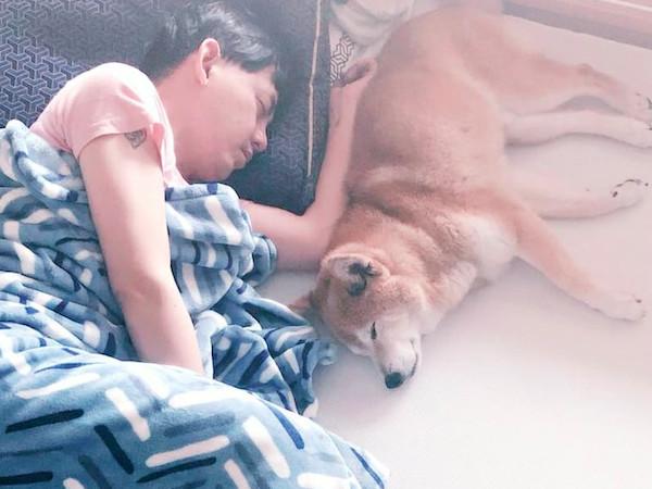 为陪17岁爱犬黄子佼霸气砍半工作量，每周不喊苦只过1月奇迹复原