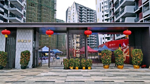 植树季来棠棣之华，亲手制作一片“春天”