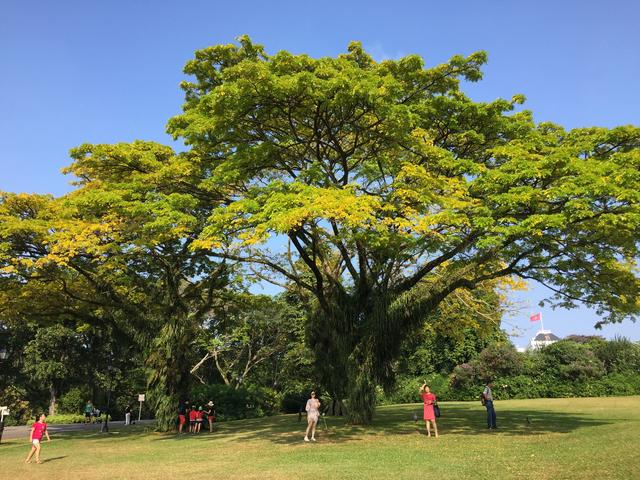 重返新加坡（DAY 6）