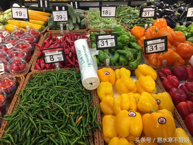 迪拜捡垃圾能发财都是骗人的，认真工作都难过上体面的生活