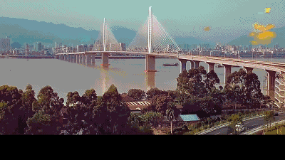 重磅！《广东省人口发展规划》公布，今后请叫我“大肇庆”