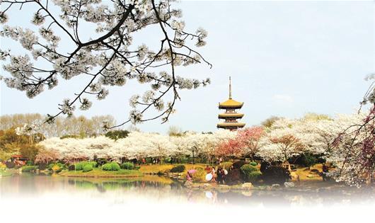 春天到，赏花啦！湖北提前打响赏花经济争夺战