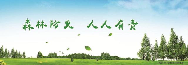 攀枝花露天大番茄抵俄！“阳光的味道”温暖了整个莫斯科！