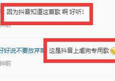 抖音神曲，被抖音带火起来的歌？抖音将成为歌曲爆红的一大推手！