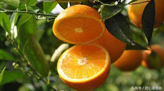 邻水脐橙——中国地理标志产品，四川特色水果