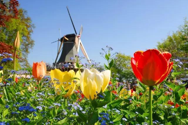 4月最佳旅行地清单出炉，不要辜负这稍纵即逝的春天！