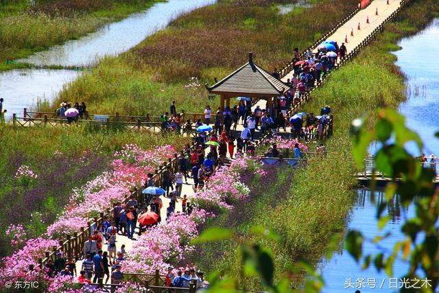 2018年清明假日旅游及景区消费报告