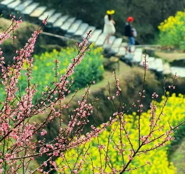 4月最佳旅行地清单出炉，不要辜负这稍纵即逝的春天！