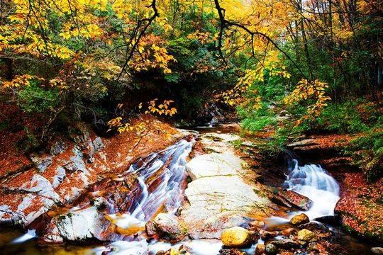 游知道丨光雾山-诺水河获批世界地质公园成四川第三 达古冰山再现春景雪景“两重天”