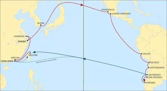 近期OOCL、YML、EMC、MSC等船公司的一些航线信息汇总！