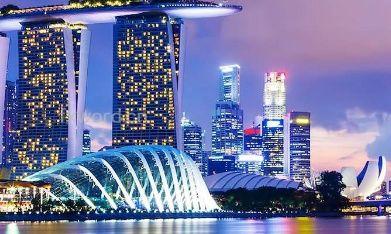 为您整理的新加坡留学费用一览表