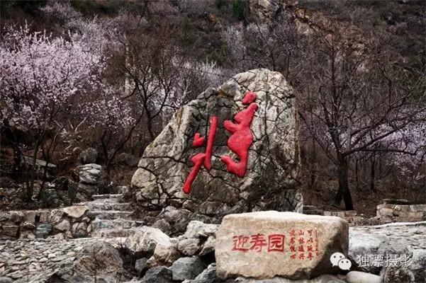 本周日北京近郊游免费游，体验农事，登延寿古寺，品传统酱驴肉