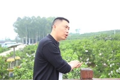 农业CEO掌管6000亩土地 把蒲江丑柑卖到北美