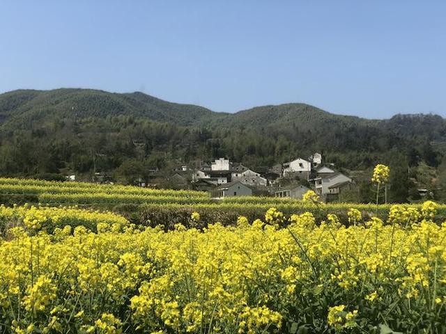 山水相融 巧创新路 宁波小城镇整治浓墨重彩绘新画卷
