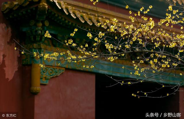 「华夏魂」清明时节世界各地华人是怎么祭祖的？