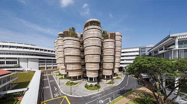 私立大学不能兼职工作？留学新加坡想兼职工作需要满足这些条件！
