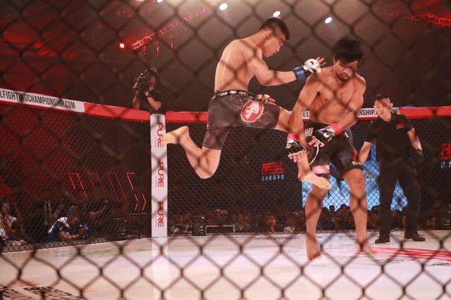 锐力搏冠军赛上海开战！日本拳手踢馆！连夺两条金腰带！