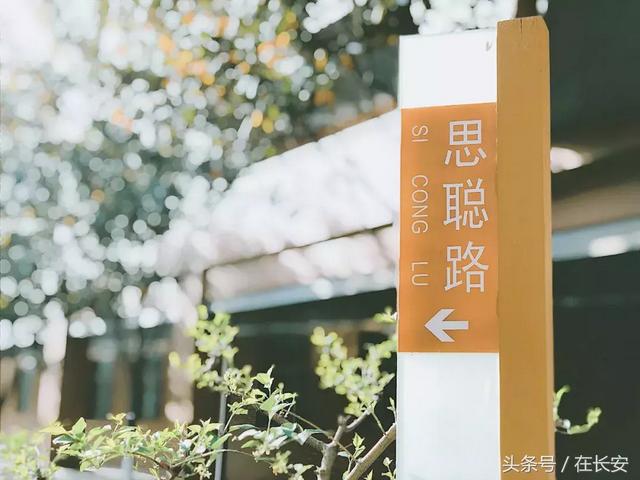 感谢有你，西安中学