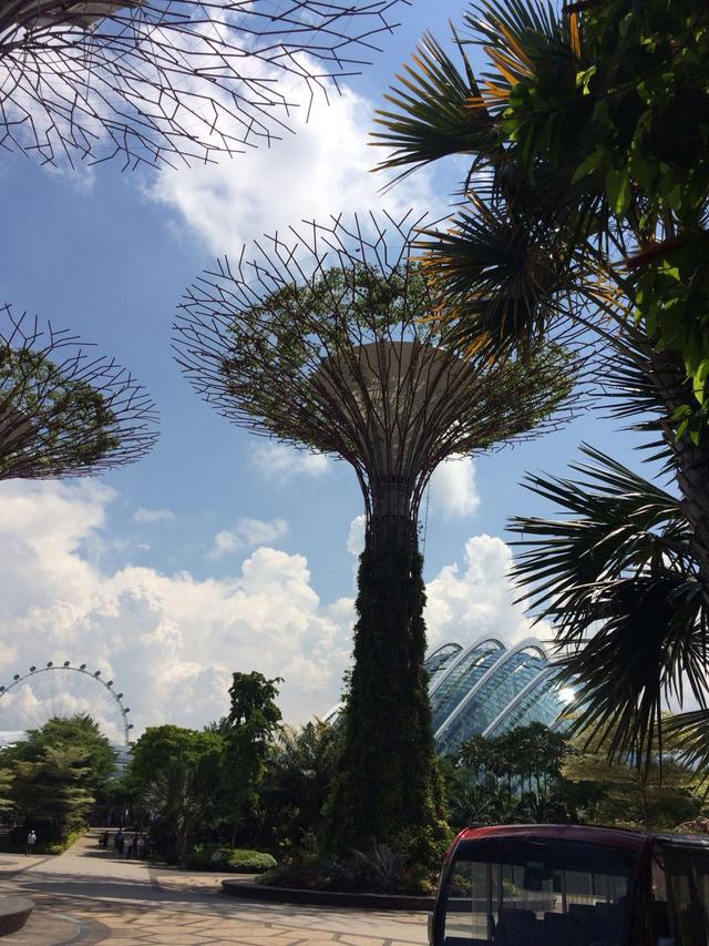 新加坡的天够蓝