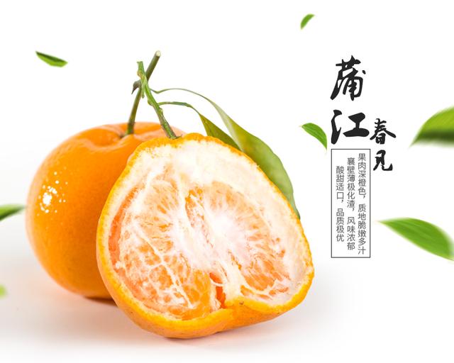 种得好卖得精 蒲江水果抢市场有高招