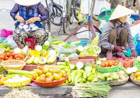 越南第一季度蔬果出口暴增，都出口到哪了？