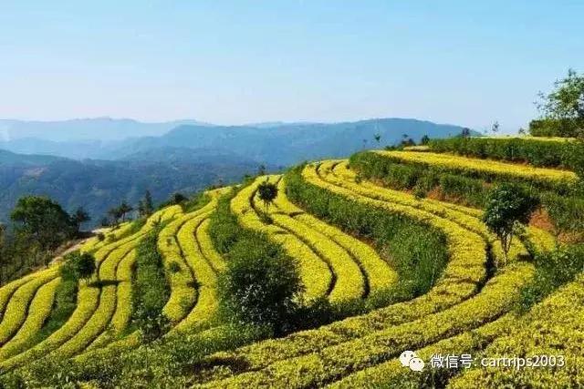 「行游天下」旅讯（2018第15期）2018-04-25 行游天下旅行平台