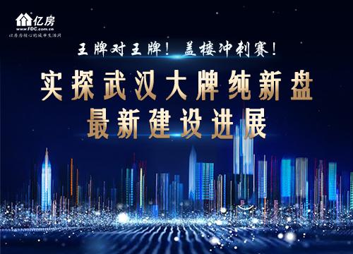 新加坡仁恒置地巨资，在后湖打造顶级豪宅