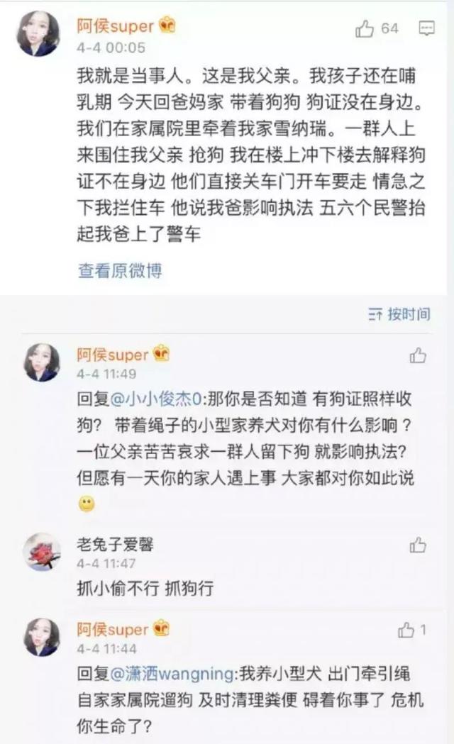 办了狗证都要抓？到底还能不能光明正大养狗了？