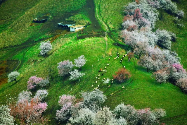 4月最佳旅行地清单出炉，不要辜负这稍纵即逝的春天！