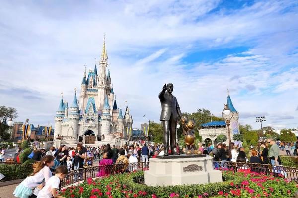 佛罗里达乐园，我的那些冒险的梦