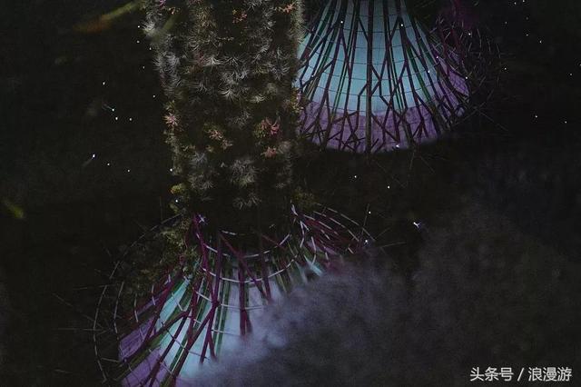 不用等花开，这两个神奇的巨大空间一年到头鲜花盛放