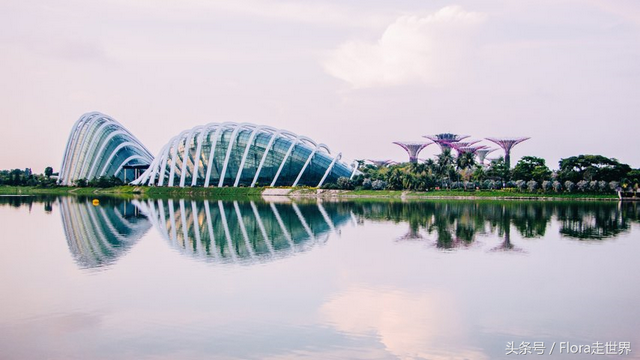 去新加坡，来一场心动之旅~